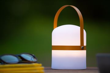 Lucide Little Joe genopladelig LED lampe IP44 brun